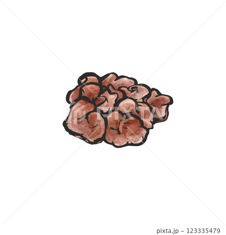 生きくらげの手描き筆絵風イラスト 123335479