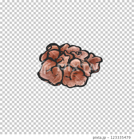 生きくらげの手描き筆絵風イラスト 123335479