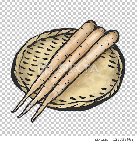 ごぼうの手描き筆絵風イラスト ごぼうの手描き筆絵風イラスト 123335668
