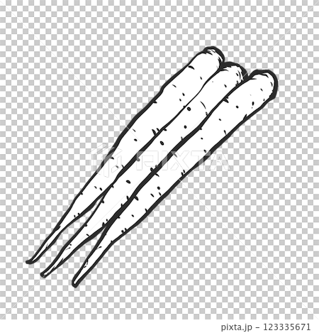 ごぼうの手描き筆絵風イラスト ごぼうの手描き筆絵風イラスト 123335671