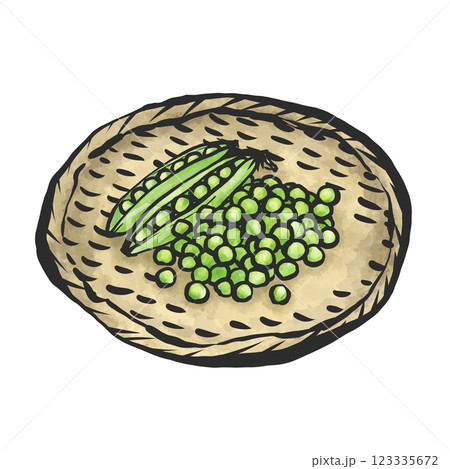 グリーンピースの手描き筆絵風イラスト 123335672