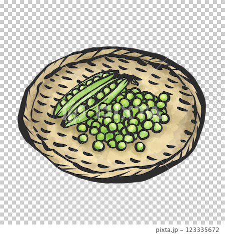 手繪畫筆風格的青豆插圖 手繪畫筆風格的青豆插圖 123335672