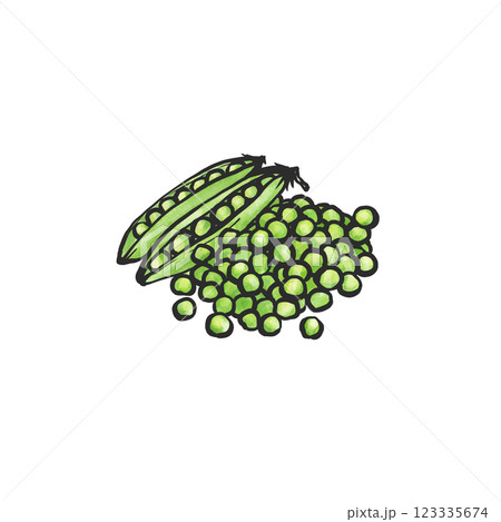 グリーンピースの手描き筆絵風イラスト 123335674