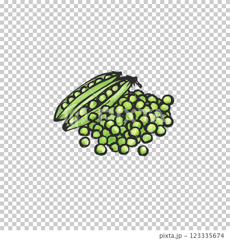 グリーンピースの手描き筆絵風イラスト 123335674