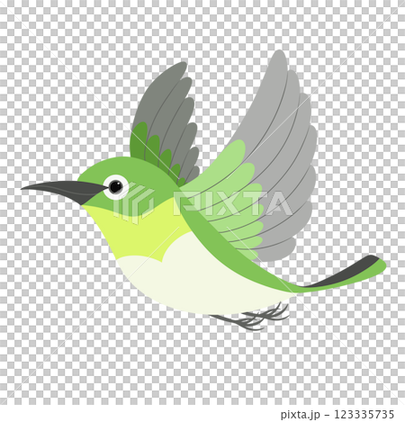 A cute Japanese white-eye flapping its wings 123335735