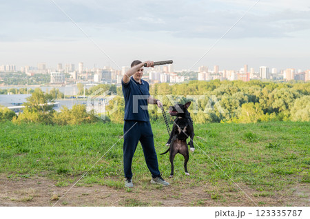 Pit bull terrier jumps for a stick. Guy training a dog. Pit bull terrier jumps for a stick. Guy training a dog. 123335787
