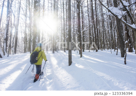 スノーシュートレッキングのイメージ（恩原湖周辺） 123336394