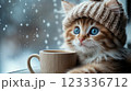 Fluffy kitten wearing knitted hat enjoys cozy winter morning by the window. Generative AI 123336712