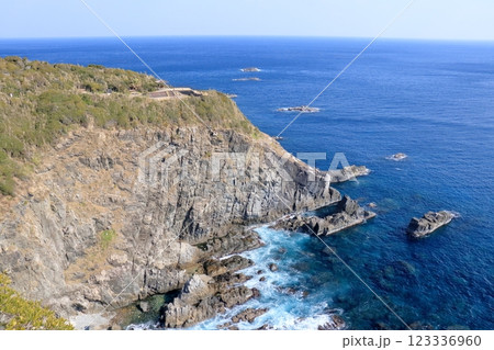 足摺岬の天狗の鼻　冬の景観　（高知県　土佐清水市） 123336960