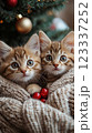 Two playful kittens snuggled together by a festive tree. Generative AI 123337252