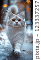 White cat walks through a snowy street under soft lights. Generative AI 123337257