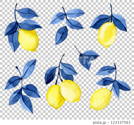 set of watercolor yellow lemons with blue leaves 123337561