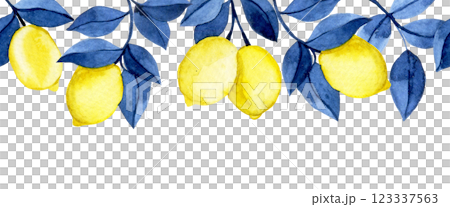 seamless watercolor border with yellow lemons and blue leaves. 123337563