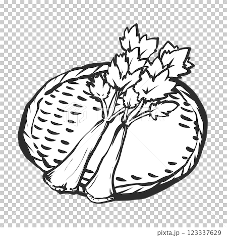 芹菜手繪插圖 123337629