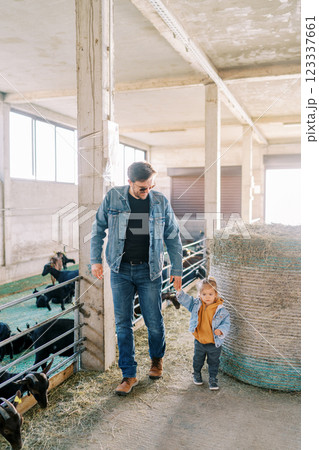 Father and a little girl are walking along the farm near a large bale of hay to the goat pens 123337661