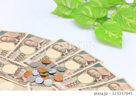 硬貨と紙幣のイメージ 硬貨と紙幣のイメージ 123337845
