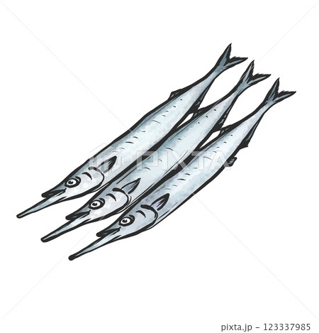 サヨリの手描き筆絵風イラスト 123337985