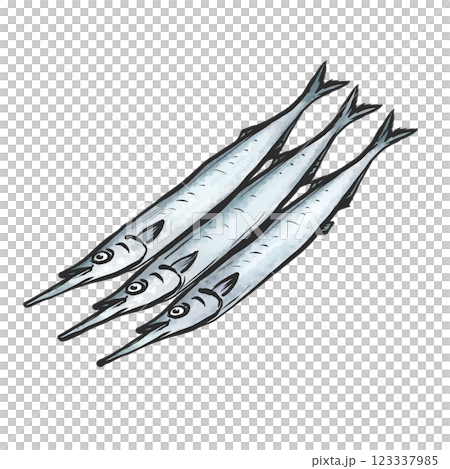 Hand-drawn brush-style illustration of halfbeak 123337985