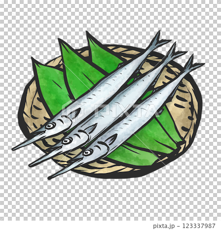 サヨリの手描き筆絵風イラスト 123337987