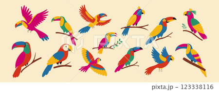 Tropical birds set. Exotic parrots, cockatoo, toucan. Vector illustration 123338116