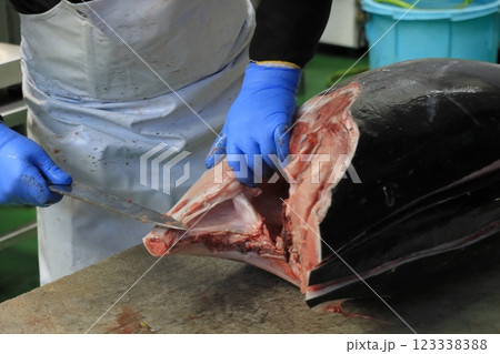 マグロ職人に解体される生の本マグロ マグロ職人に解体される生の本マグロ 123338388