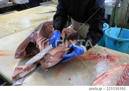 マグロ職人に解体される生の本マグロ マグロ職人に解体される生の本マグロ 123338392