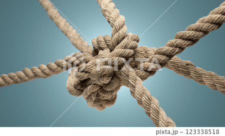 Intricate Weaving: A Close-Up of a Natural Rope Knot 123338518