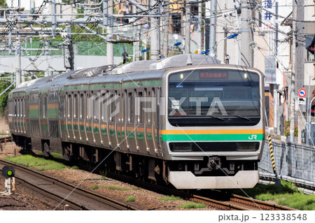 【湘南新宿ライン】山手貨物線を走行する電車 【湘南新宿ライン】山手貨物線を走行する電車 123338548