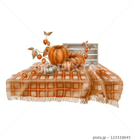 Cozy plaid blanket with folds with orange and gray pumpkins,physalis branches and leaves,a wooden crate in the background.Rustic watercolor for autumn themes,home decor or seasonal designs Cozy plaid blanket with folds with orange and gray pumpkins,physalis branches and leaves,a wooden crate in the background.Rustic watercolor for autumn themes,home decor or seasonal designs 123338645