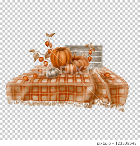 Cozy plaid blanket with folds with orange and gray pumpkins,physalis branches and leaves,a wooden crate in the background.Rustic watercolor for autumn themes,home decor or seasonal designs Cozy plaid blanket with folds with orange and gray pumpkins,physalis branches and leaves,a wooden crate in the background.Rustic watercolor for autumn themes,home decor or seasonal designs 123338645