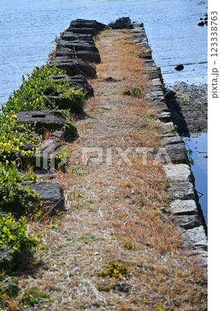 大村藩 お船蔵跡(長崎県大村市:玖島城の船蔵跡) 大村藩 お船蔵跡(長崎県大村市:玖島城の船蔵跡) 123338763