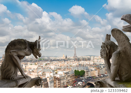 Gargoyle of Paris 123339462