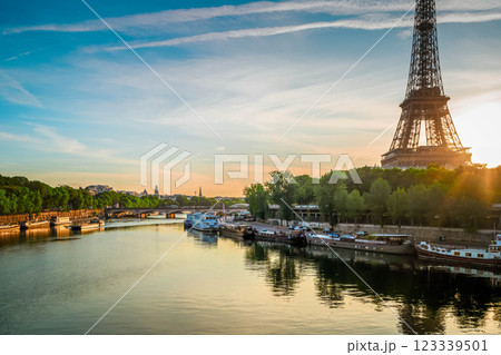 eiffel tour over Seine river 123339501
