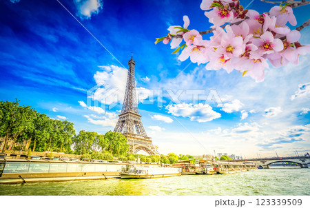 Bridge of Alexandre III, Paris, France 123339509