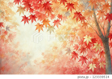 紅葉・もみじ・秋イメージ 123339514