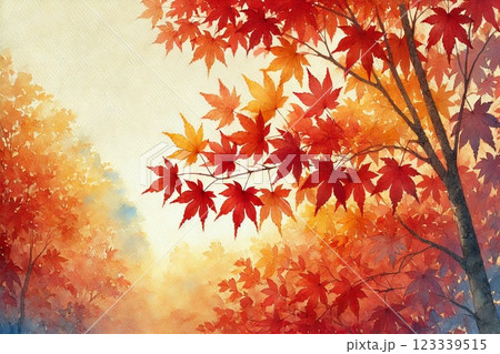 紅葉・もみじ・秋イメージ 123339515
