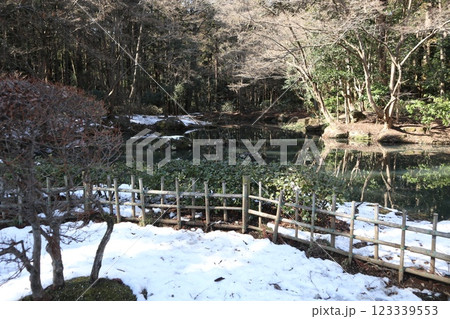 武蔵陵墓地 123339553