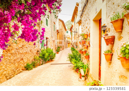 old town of Valdemossa, Majorca 123339581