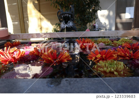 武蔵陵墓地 123339683