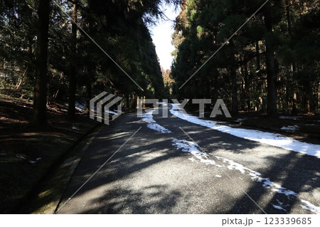 武蔵陵墓地 123339685