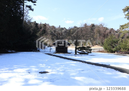 武蔵陵墓地 123339688