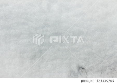 降り積もった雪の雪面 降り積もった雪の雪面 123339703