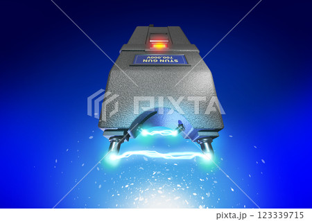 スタンガン(stun gun) 123339715