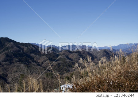 ススキと冬の相模湖周りの山風景 123340244
