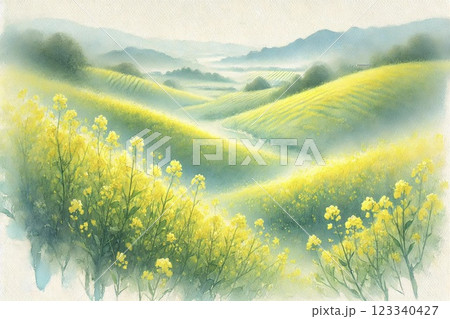 菜の花畑 123340427