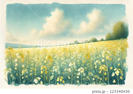 菜の花畑 菜の花畑 123340430