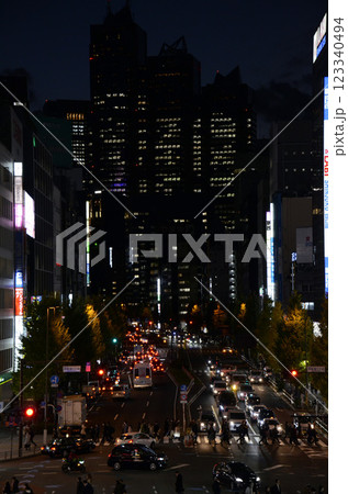 夜の新宿 123340494