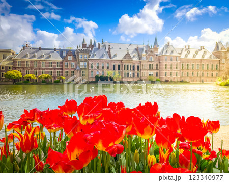 Binnenhof - Dutch Parliament, Holland 123340977