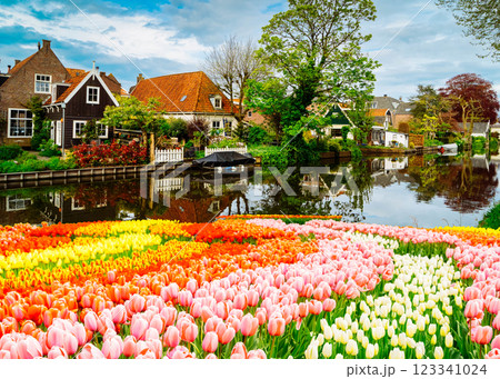 skyline of old town Edam 123341024