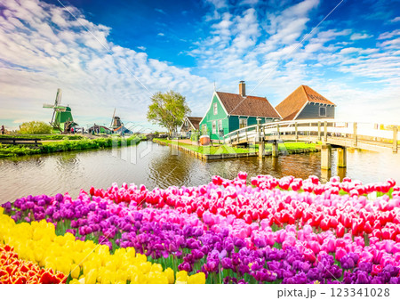 skyline of old town Zaanse Schans 123341028